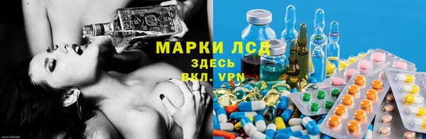 PSILOCYBIN Белокуриха