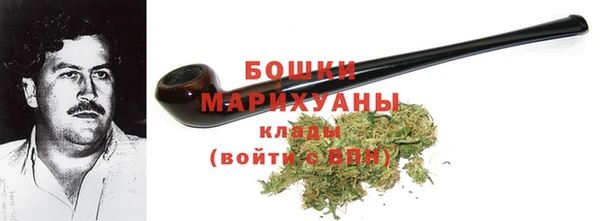 PSILOCYBIN Белокуриха