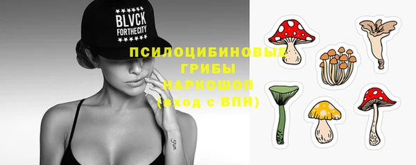 PSILOCYBIN Белокуриха
