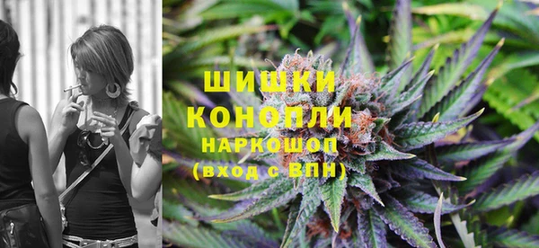 PSILOCYBIN Белокуриха