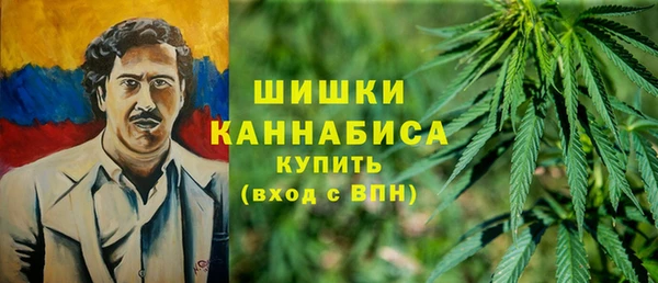 ГАЛЛЮЦИНОГЕННЫЕ ГРИБЫ Белоозёрский