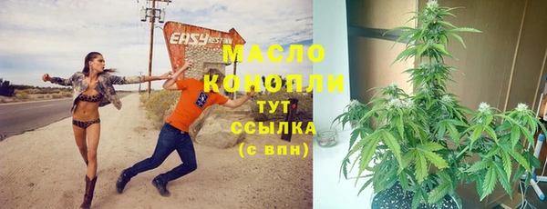 PSILOCYBIN Белокуриха