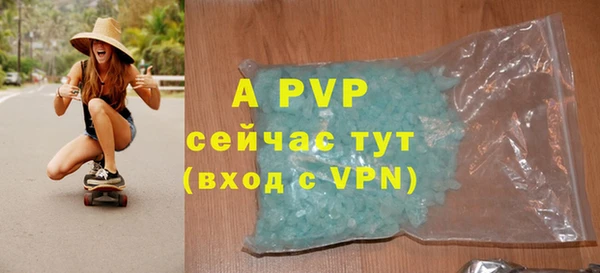 PSILOCYBIN Белокуриха
